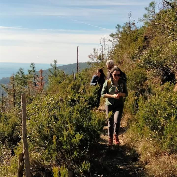 trail seifuori