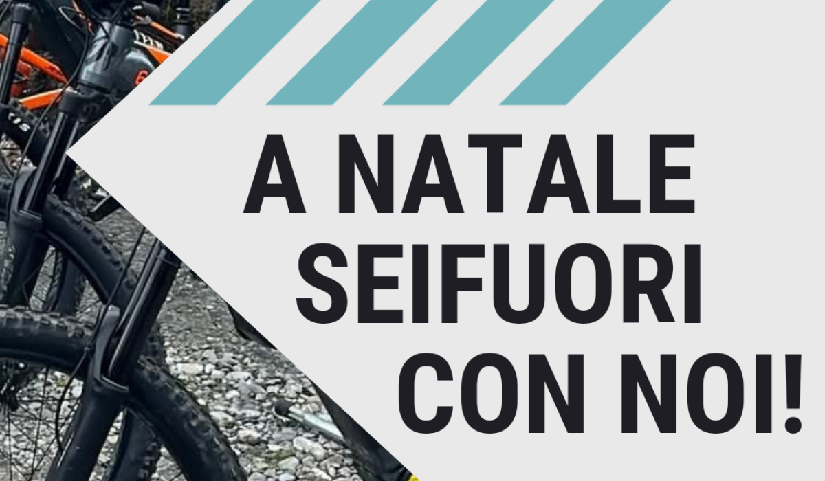 SEIFUORI Natale Instagram_20241202_183151_0000
